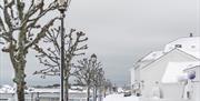 Risør
