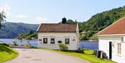 Hvitt hus