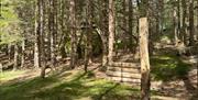 Paintball bane område i skogen på Adventure Norway