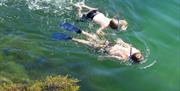 To barn som dykker med snorkler i vannet