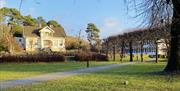 Park med mange trær og et stort trehus
