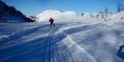 På ski på Sætra