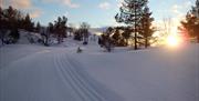 Sætra vinter