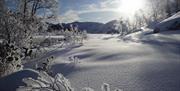 Flott vinterlandskap