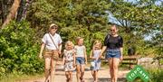 Familie på 5 som går gjennom skogen