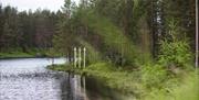 Hillestad ligger i nærheten av elv og skogsvann