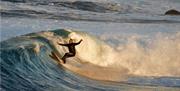 Surf-Lista