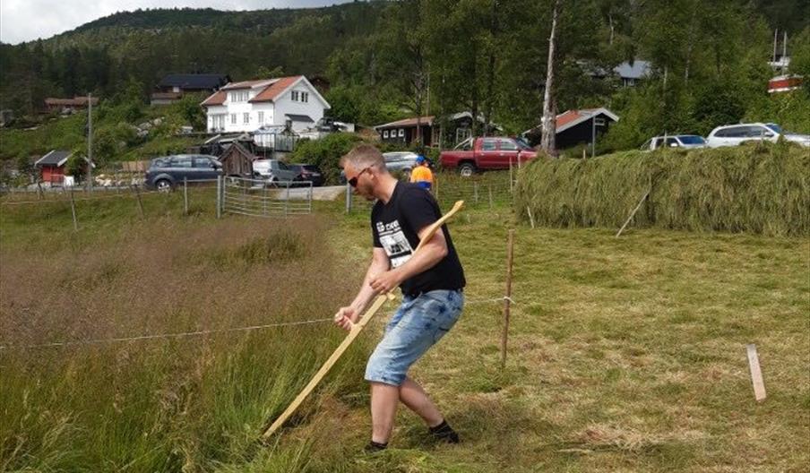 Ljå- og veteranfestival på Eikerapen Ljå- og veteranfestival på Eikerapen