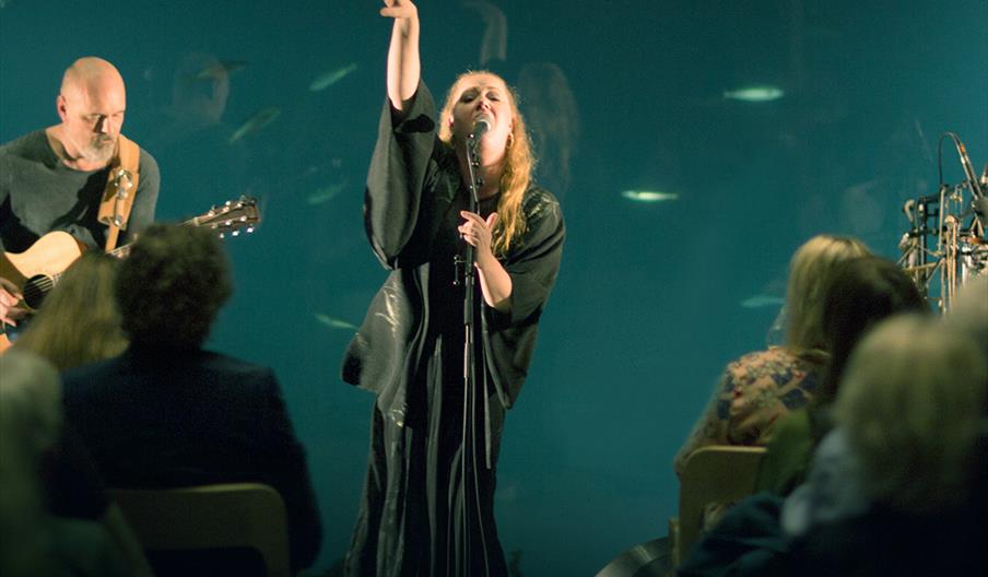 Julekonsert med julemiddag på Havhotellet og Under Julekonsert med julemiddag på Havhotellet og Under